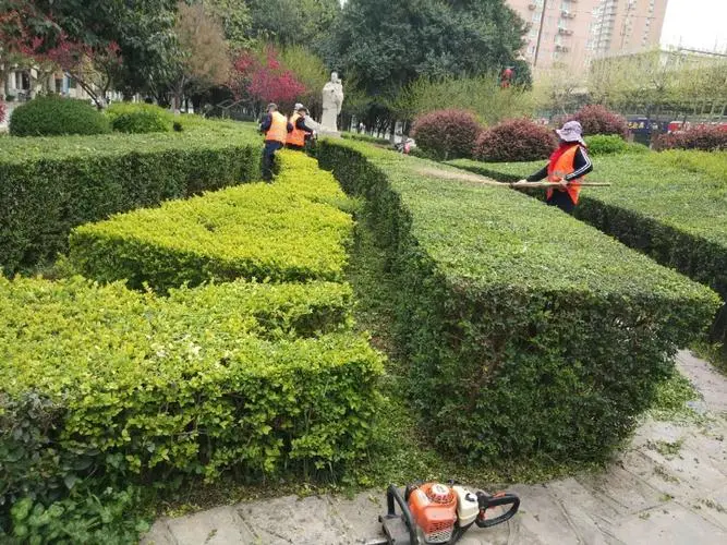 園林綠化維護：城市綠肺的守護者